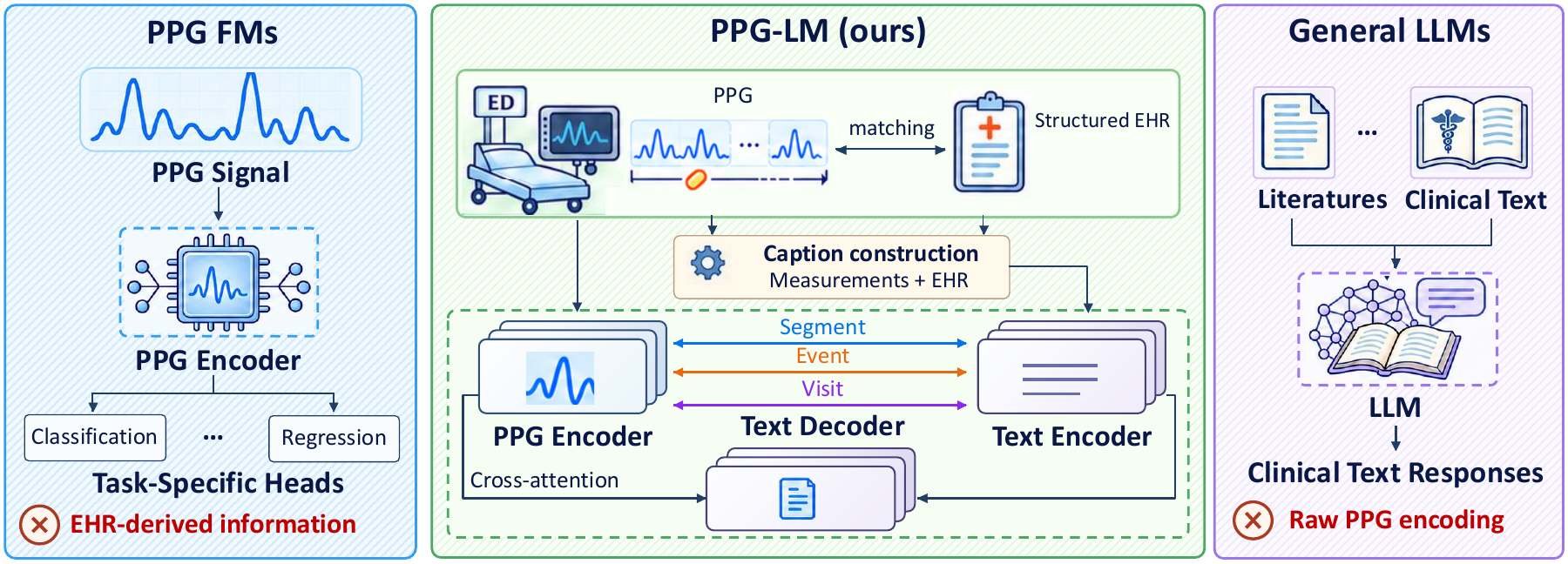 PPG-LM model overview